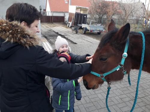 IMG-20190224-WA0005 (1)